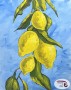 Lemon-Tree-wm